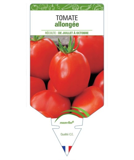 TOMATE ALLONGEE