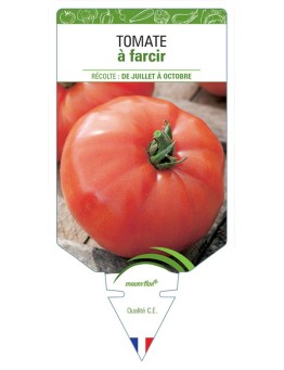 TOMATE À FARCIR