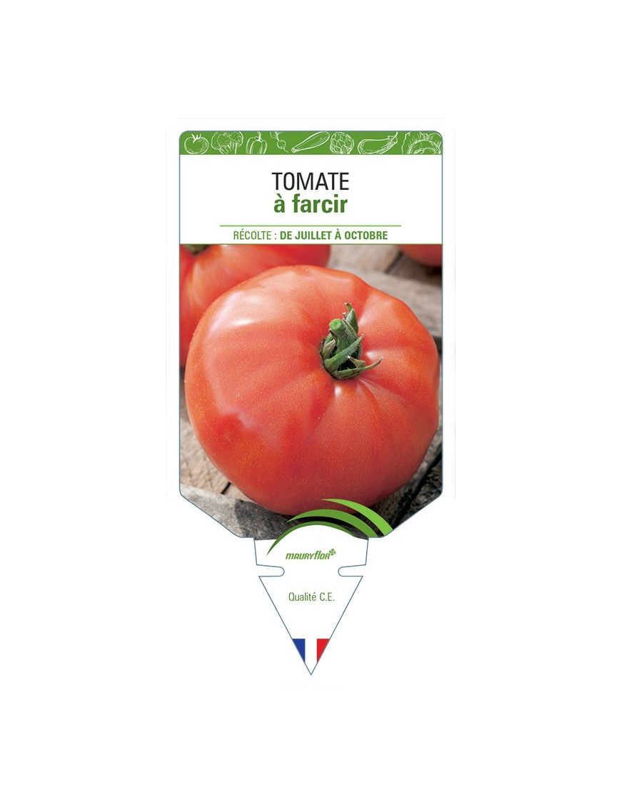TOMATE À FARCIR