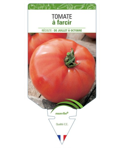 TOMATE À FARCIR