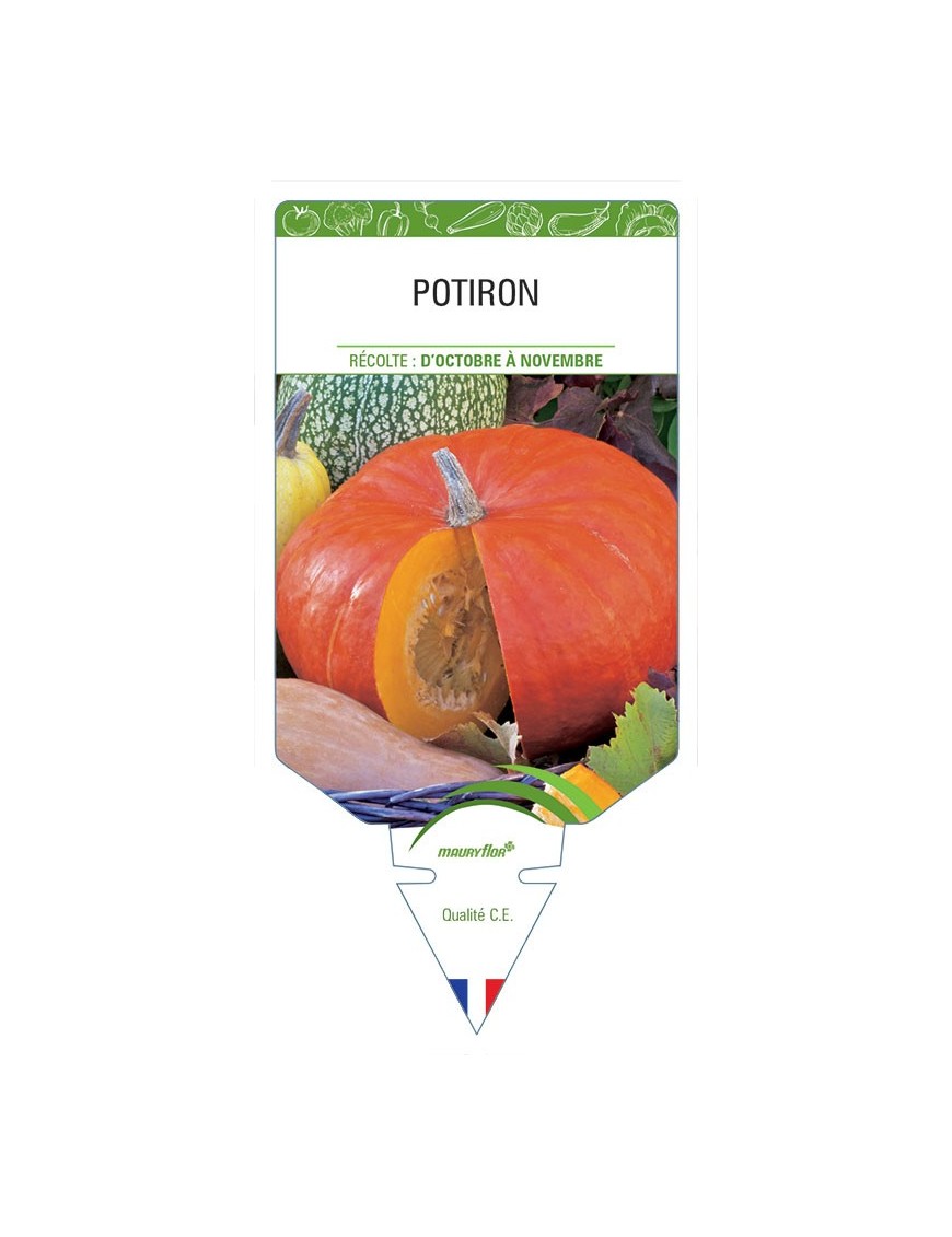 POTIRON