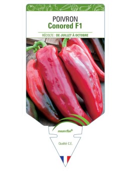 POIVRON CONORED F1