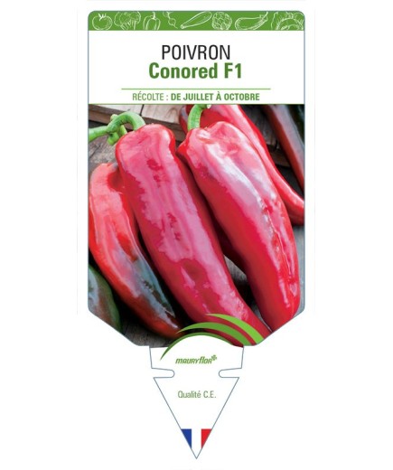 POIVRON CONORED F1