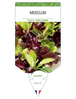 MESCLUN