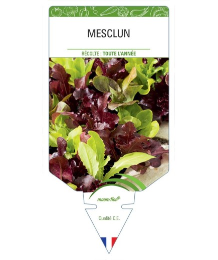 MESCLUN