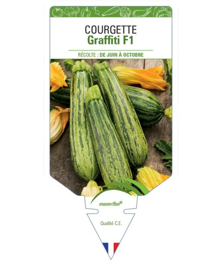 COURGETTE GRAFFITI F1