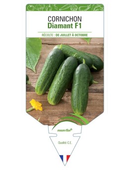 CORNICHON DIAMANT F1