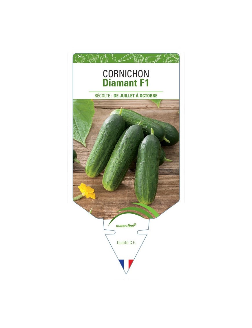 CORNICHON DIAMANT F1