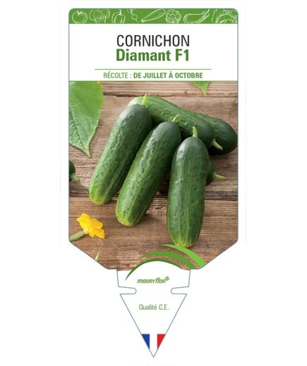 CORNICHON DIAMANT F1
