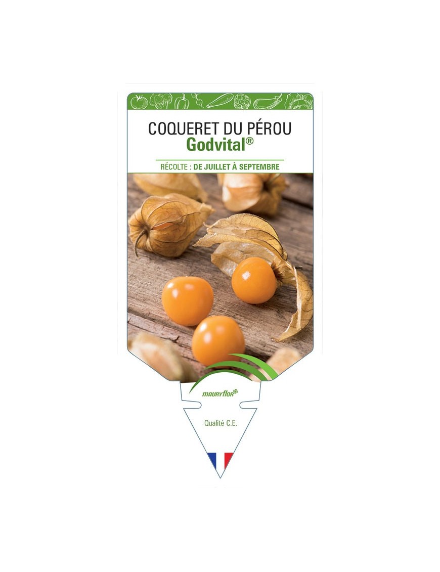 COQUERET DU PEROU GOLDVITAL®