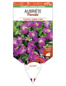 AUBRIETA Florida