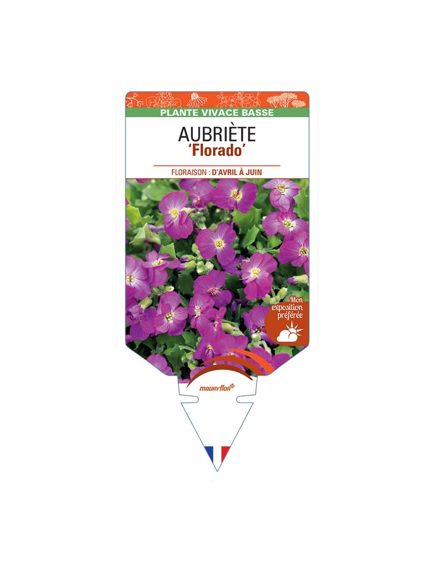 AUBRIETA Florida