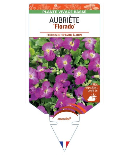 AUBRIETA Florida