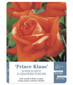 ‘Prince Klaus’