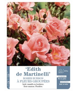 ‘Edith de Martinelli’