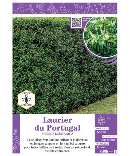 PRUNUS LUSITANICA voir LAURIER DU PORTUGAL