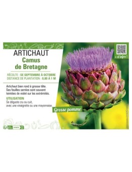 ARTICHAUT CAMUS DE BRETAGNE