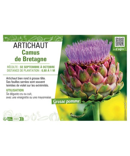 ARTICHAUT CAMUS DE BRETAGNE