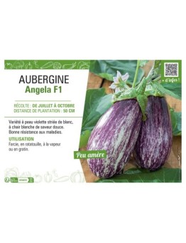 AUBERGINE ANGELA F1