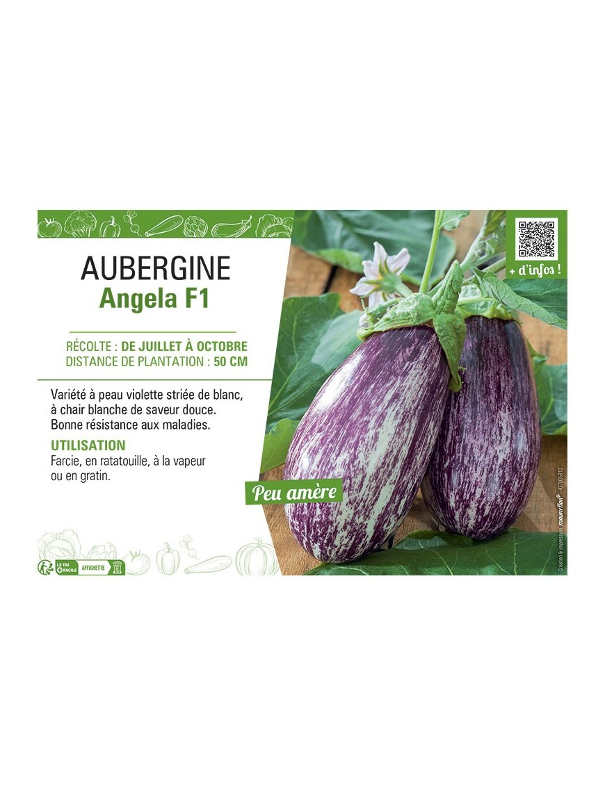 AUBERGINE ANGELA F1
