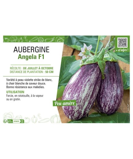 AUBERGINE ANGELA F1