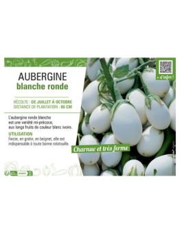 AUBERGINE BLANCHE RONDE