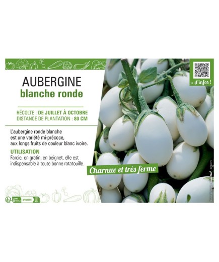 AUBERGINE BLANCHE RONDE