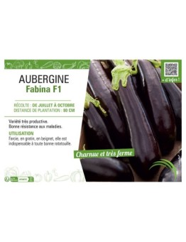 AUBERGINE FABINA F1