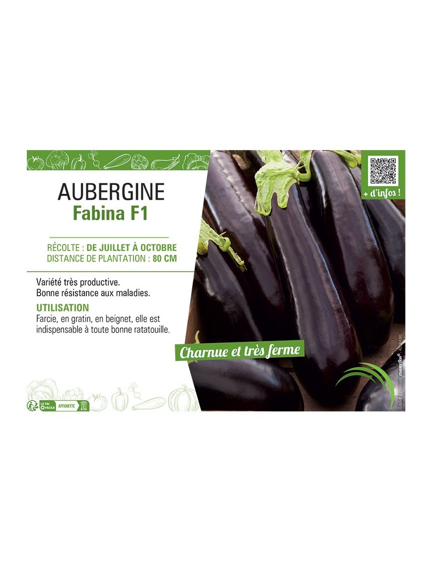 AUBERGINE FABINA F1