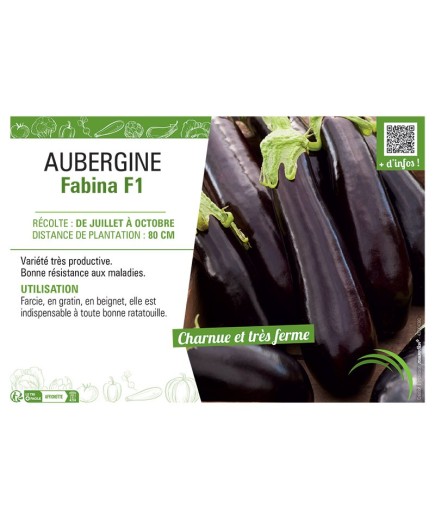 AUBERGINE FABINA F1