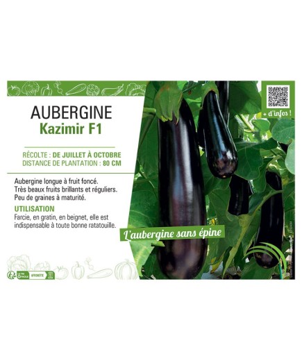 AUBERGINE KAZIMIR F1