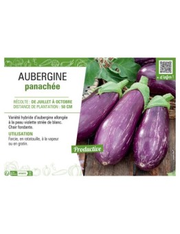 AUBERGINE PANACHEE