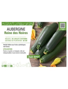 AUBERGINE REINE DES NOIRES