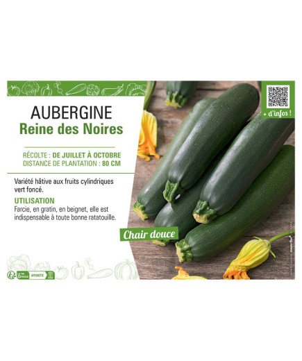 AUBERGINE REINE DES NOIRES