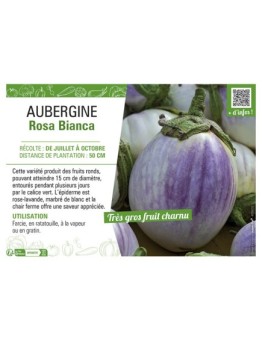 AUBERGINE ROSA BIANCA