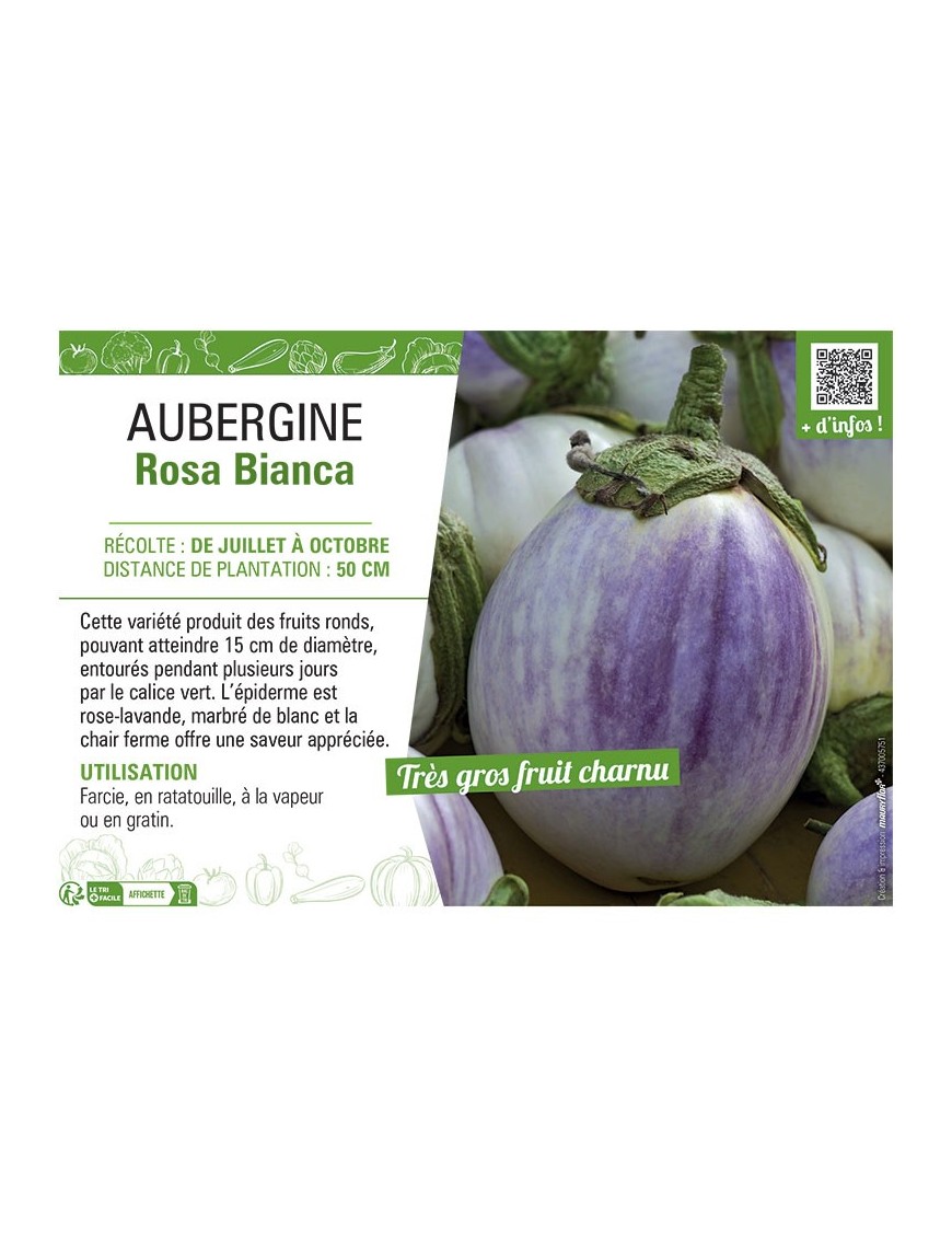 AUBERGINE ROSA BIANCA