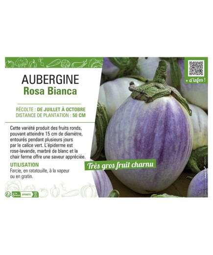 AUBERGINE ROSA BIANCA