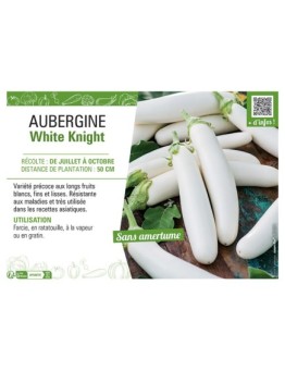 AUBERGINE WHITE KNIGHT