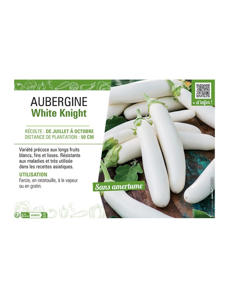 AUBERGINE WHITE KNIGHT