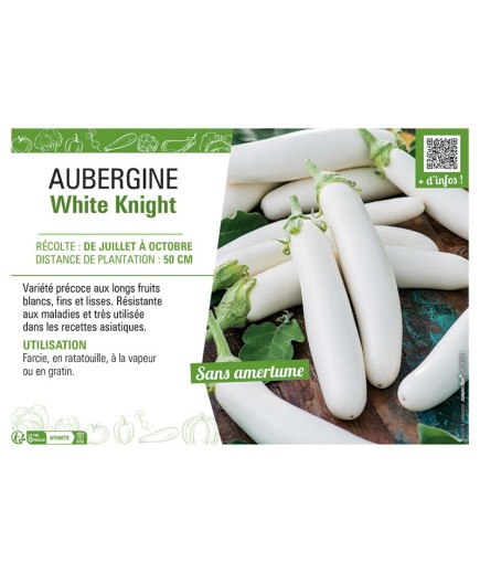 AUBERGINE WHITE KNIGHT