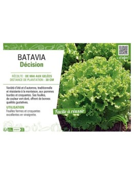 BATAVIA DECISION