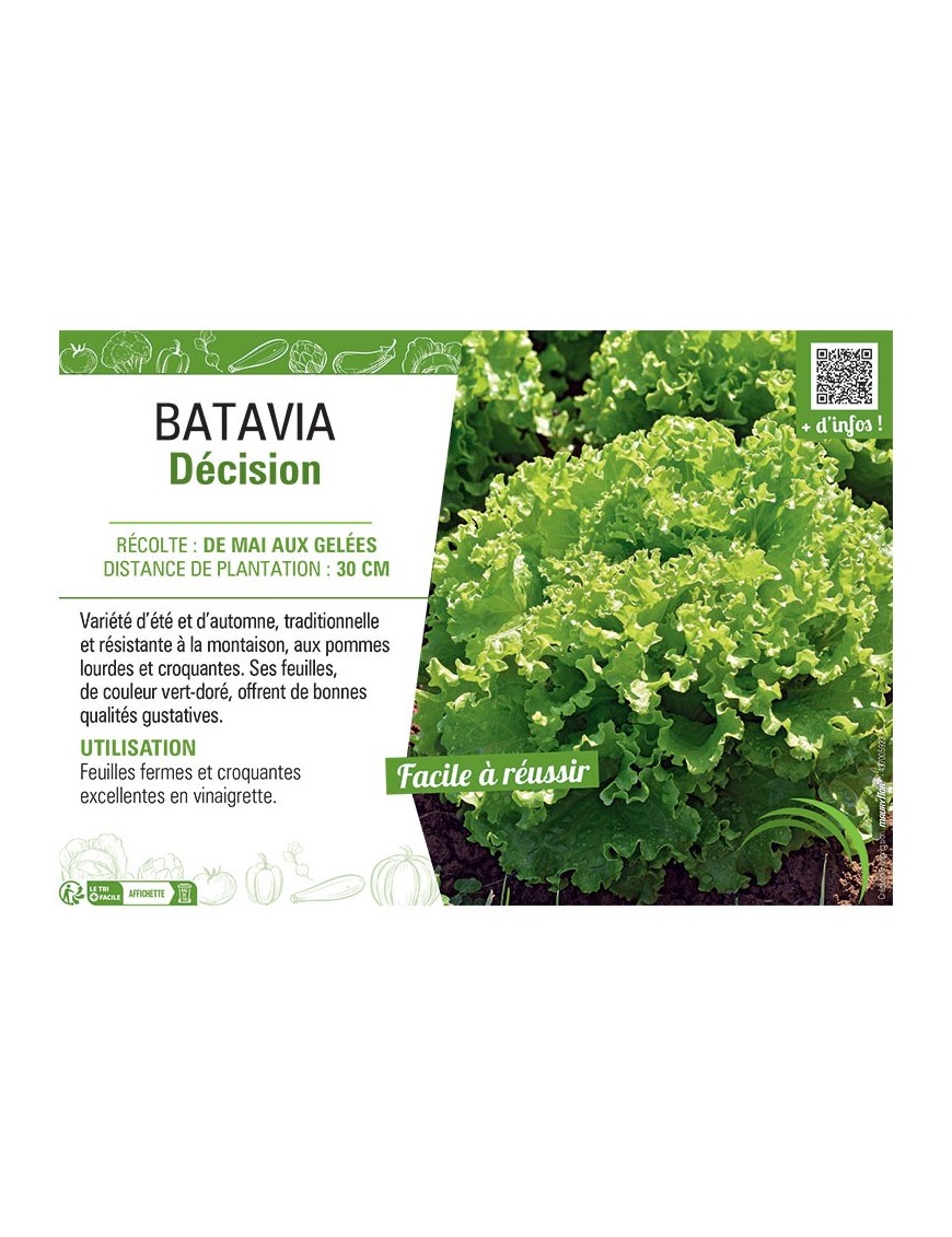 BATAVIA DECISION
