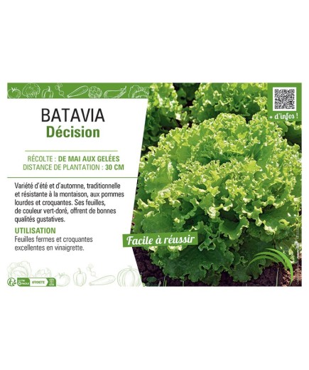 BATAVIA DECISION