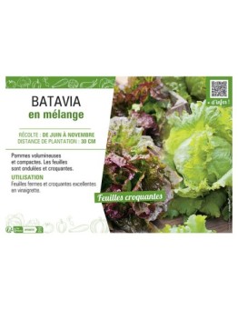 BATAVIA EN MELANGE