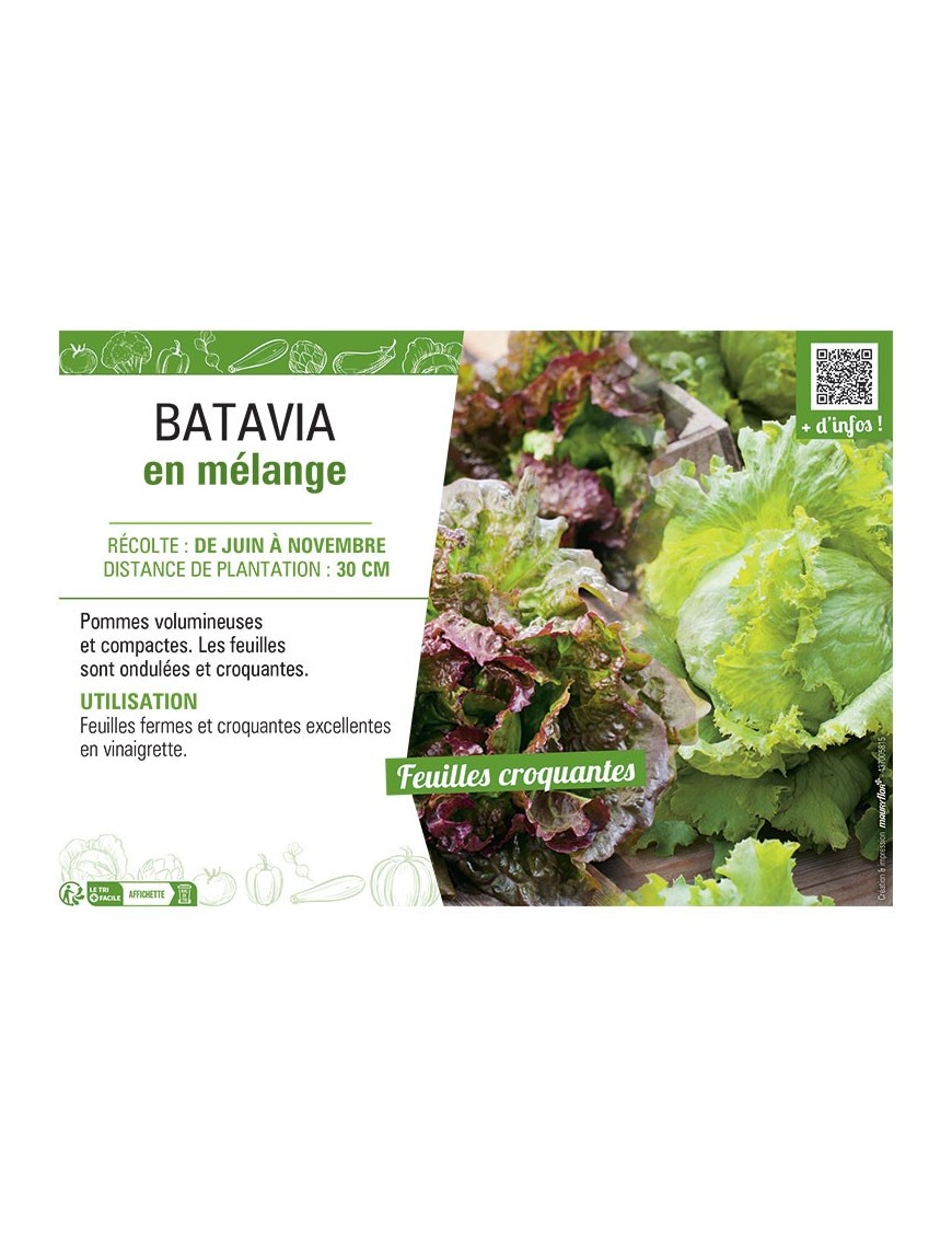 BATAVIA EN MELANGE