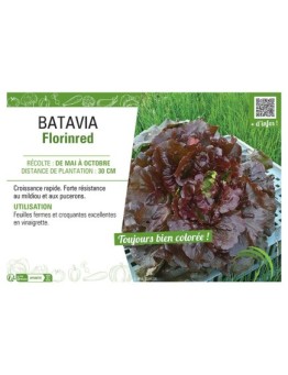 BATAVIA FLORINRED