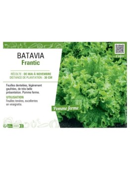 BATAVIA FRANTIC