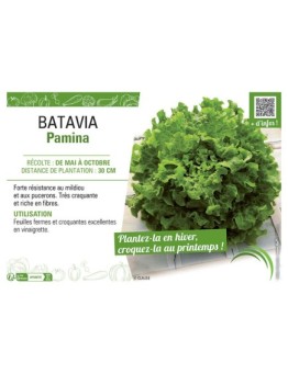 BATAVIA PAMINA