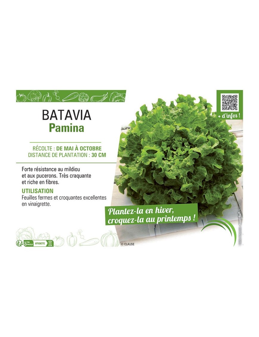 BATAVIA PAMINA