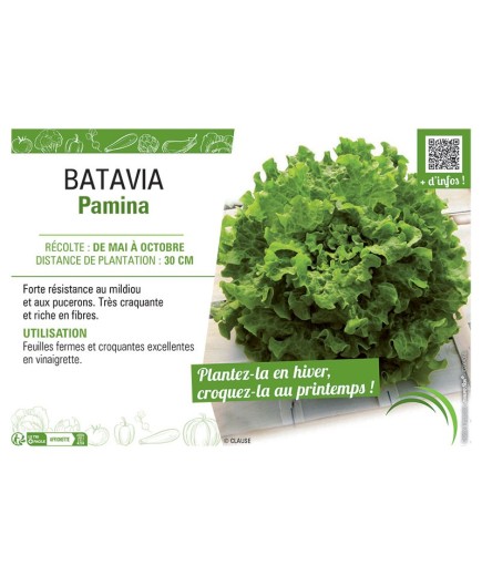 BATAVIA PAMINA